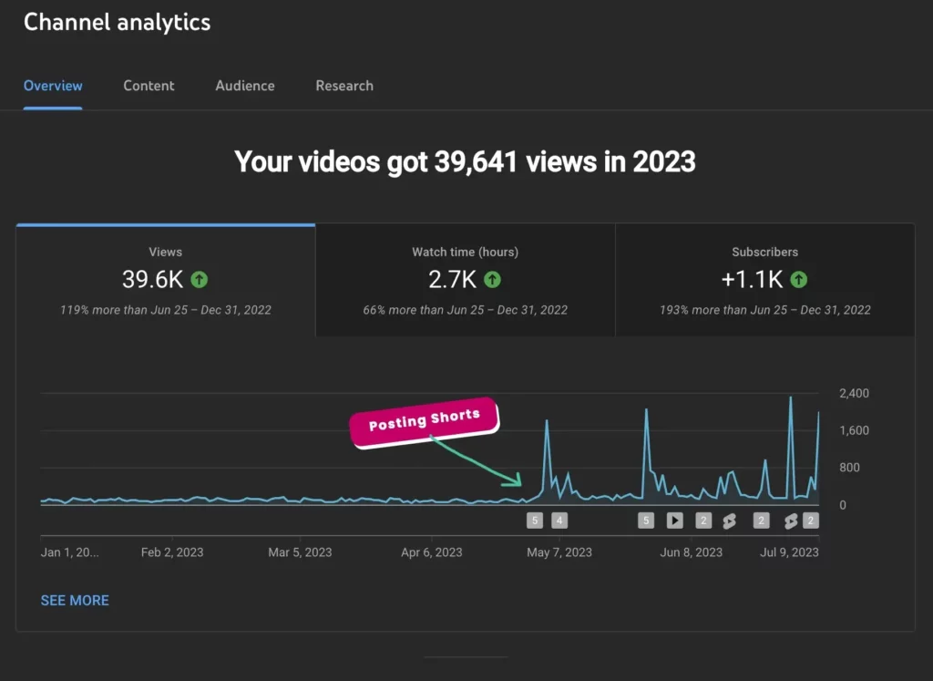 YouTube Shorts Results from Content Agency